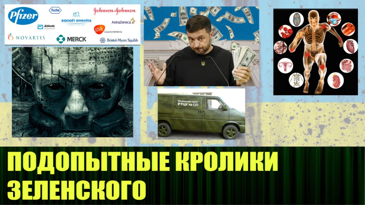🆕 Новое видео:
"Подопытные кролики Зеленского"
https://rutube.ru/video/69877ad49acfe8e9de1979ed445e9ebe/ | Сетка — социальная сеть от hh.ru