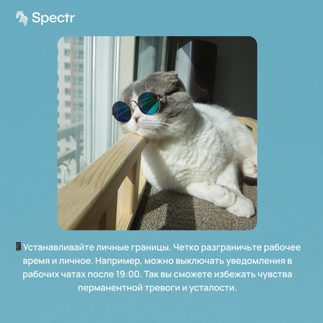 Work-life balance: как не выгорать (а только загорать) летом
Лето — время солнца, отпусков и ярких впечатлений. Но и работы | Сетка — социальная сеть от hh.ru