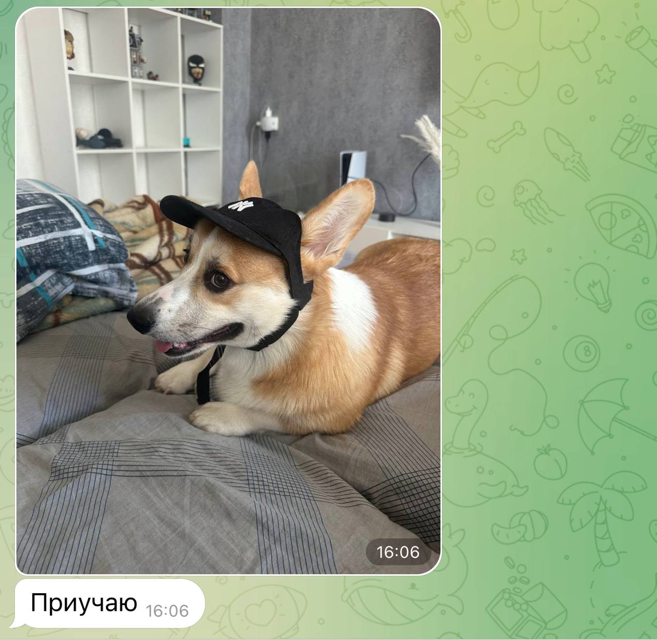 Ты: сидишь и работаешь
Также сообщения Вики в рандомный момент: | Сетка — социальная сеть от hh.ru