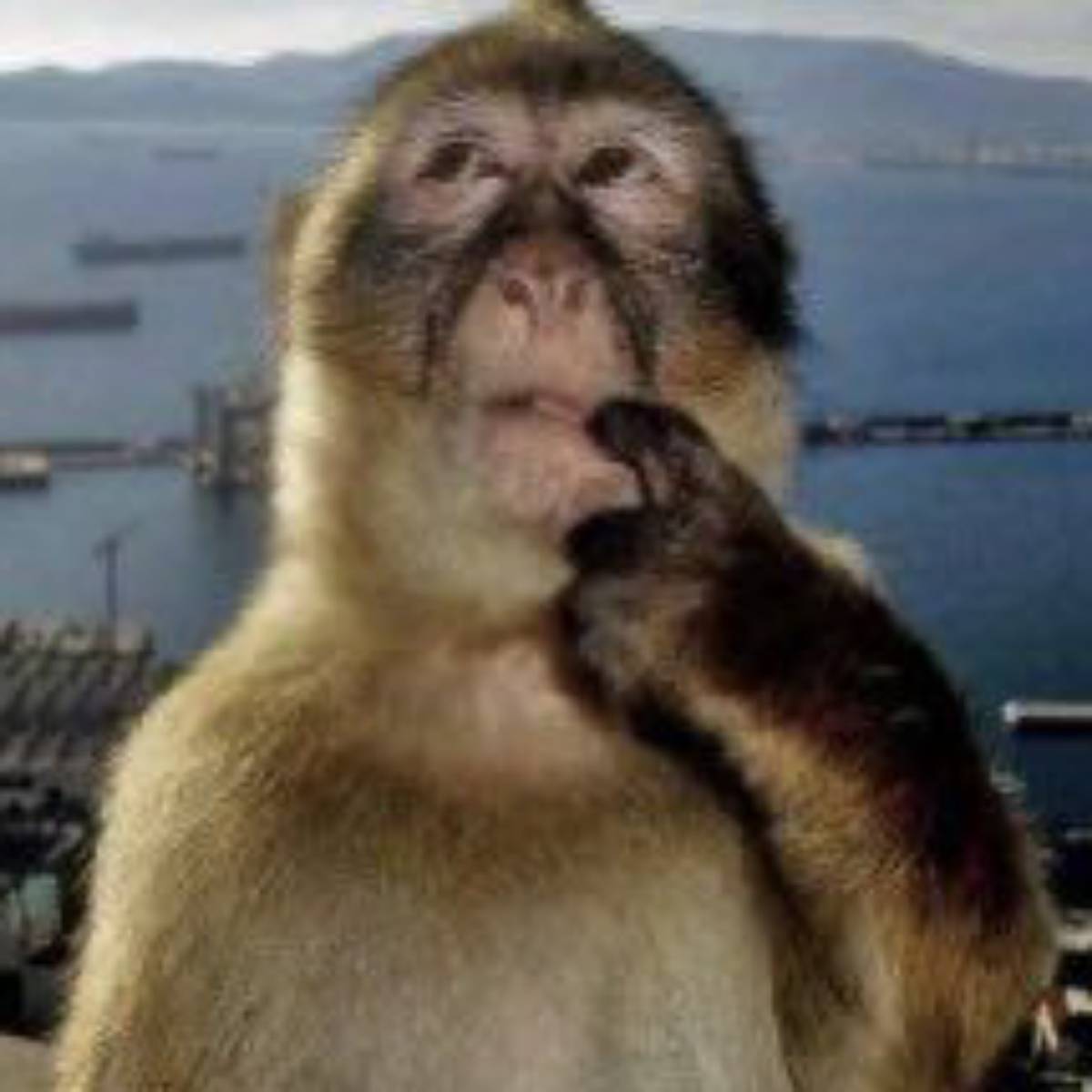 Егор Худяков | Сетка — социальная сеть от hh.ru