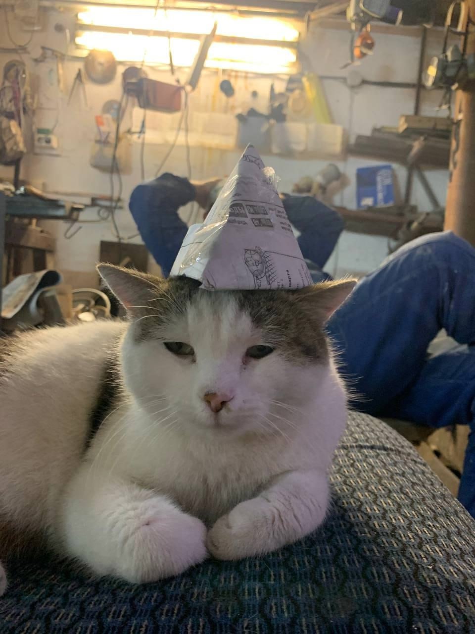 Шерстяные штатные психологи на производстве.
Коротко — ШШПП 🐈
Блог—Инженера с утра и навсегда ❤️
✴️ СУОТ 🔐 Услуги
В этом посте были ссылки, но мы их удалили по правилам Сетки | Сетка — социальная сеть от hh.ru