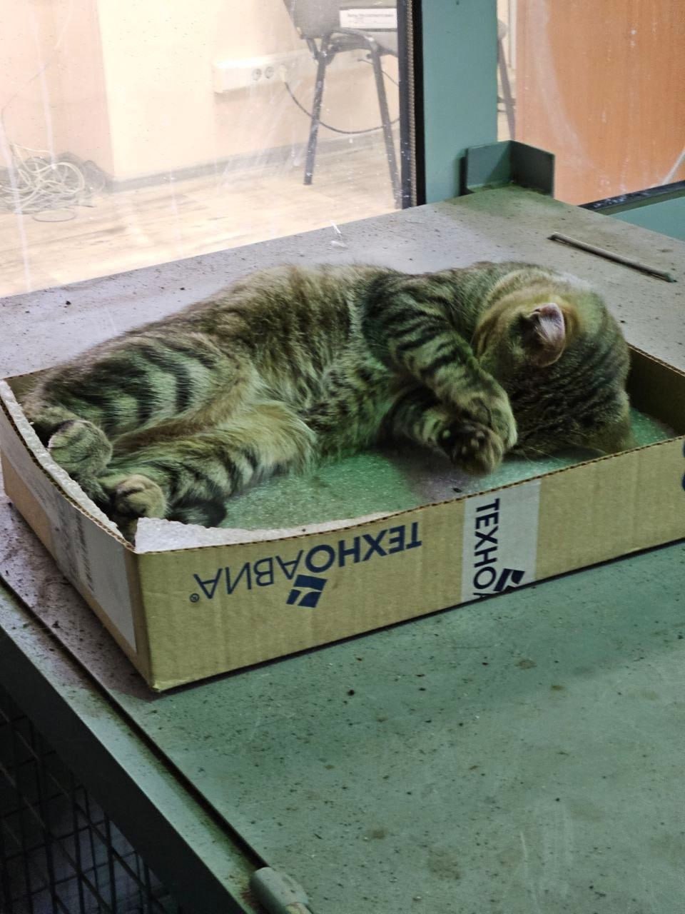 Шерстяные штатные психологи на производстве.
Коротко — ШШПП 🐈
Блог—Инженера с утра и навсегда ❤️
✴️ СУОТ 🔐 Услуги
В этом посте были ссылки, но мы их удалили по правилам Сетки | Сетка — социальная сеть от hh.ru