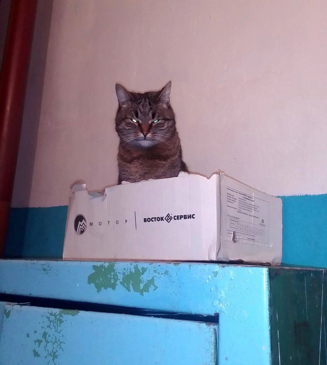Шерстяные штатные психологи на производстве.
Коротко — ШШПП 🐈
Блог—Инженера с утра и навсегда ❤️
✴️ СУОТ 🔐 Услуги
В этом посте были ссылки, но мы их удалили по правилам Сетки | Сетка — социальная сеть от hh.ru