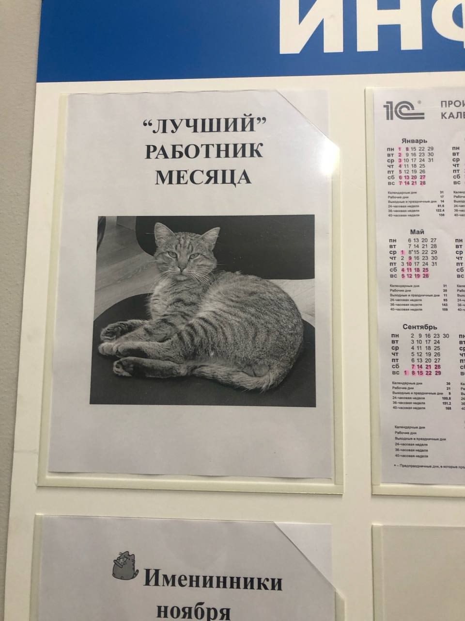 Шерстяные штатные психологи на производстве.
Коротко — ШШПП 🐈
Блог—Инженера с утра и навсегда ❤️
✴️ СУОТ 🔐 Услуги
В этом посте были ссылки, но мы их удалили по правилам Сетки | Сетка — социальная сеть от hh.ru