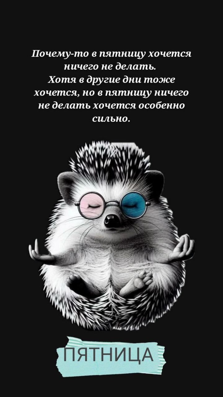 С пятницей💪😂 | Сетка — социальная сеть от hh.ru