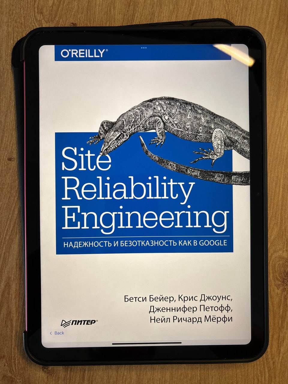 Б. Бейер et al., «Site Reliability Engineering. Надёжность и безотказность как в Google»
Одна из важнейших зон ответственности технического руководителя — обеспечение надёжности | Сетка — социальная сеть от hh.ru