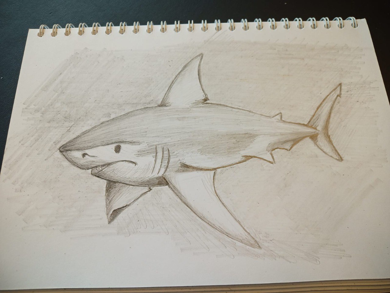 Доброго пятничного утречка!
Для поддержания настроения и получения заряда на предстоящие выходные вам в ленту немного рисунков!
жду критики :)))
#котики #рисунки #пятница | Сетка — социальная сеть от hh.ru