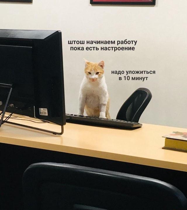Проснулись, улыбнулись и ушли на выходные работу 😱
Ладно, ладно… держитесь, осталось немного 🧡
p.s. в комментариях в тг канале оставил еще один видос-мем (не подстанова)
#мемы | Сетка — социальная сеть от hh.ru
