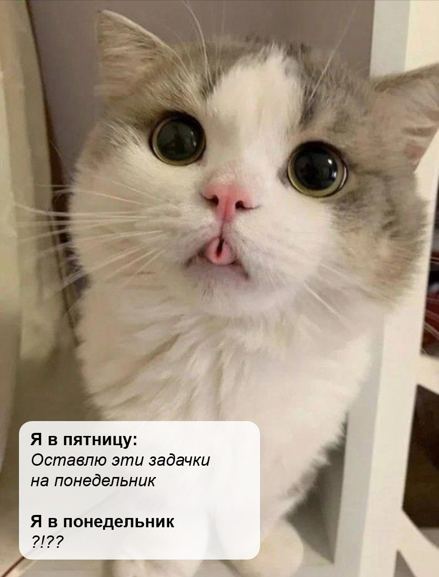 Пятничный мемчик ☺️ | Сетка — социальная сеть от hh.ru