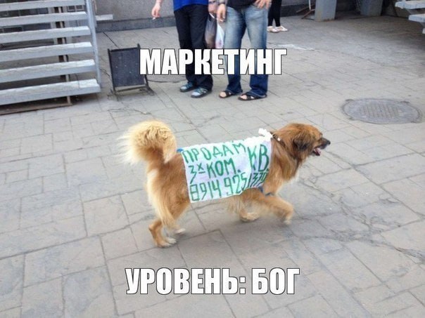 Пятничное чтиво: тренды 2025 в маркетинге
Наткнулась вчера на прикольную статью. Анализировали то, что работает, а что откровенно бесит потребителя в 2025 | Сетка — социальная сеть от hh.ru