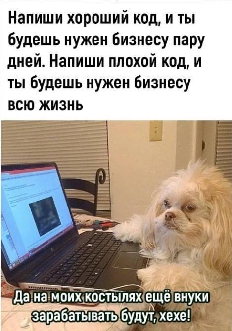 Не является карьерной рекомендацией! #пятничное | Сетка — социальная сеть от hh.ru