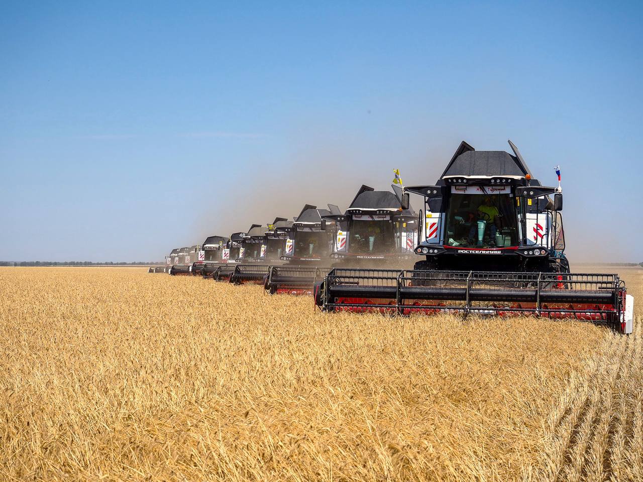 Ставропольские аграрии прошли половину пути уборочной кампании 🌾
Жатва в самом разгаре: уже собрано 4,3 миллиона тонн зерновых, а убрано 47% посевных площадей | Сетка — социальная сеть от hh.ru