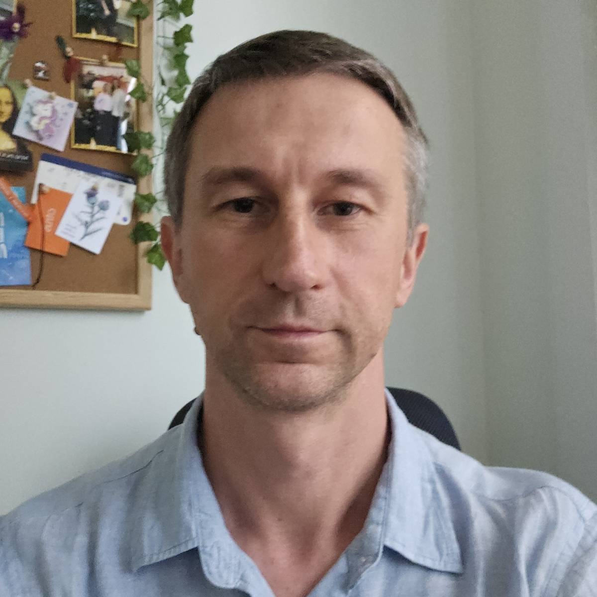 Александр Ильин | Сетка — социальная сеть от hh.ru