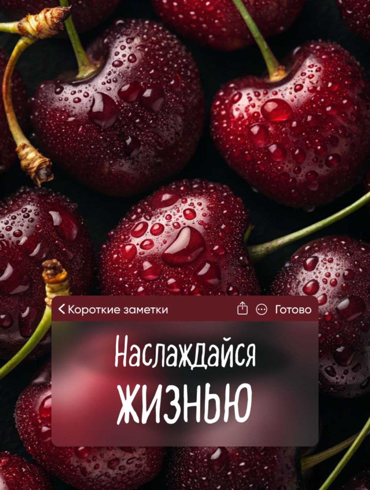 Магнитик на холодильник | Сетка — социальная сеть от hh.ru