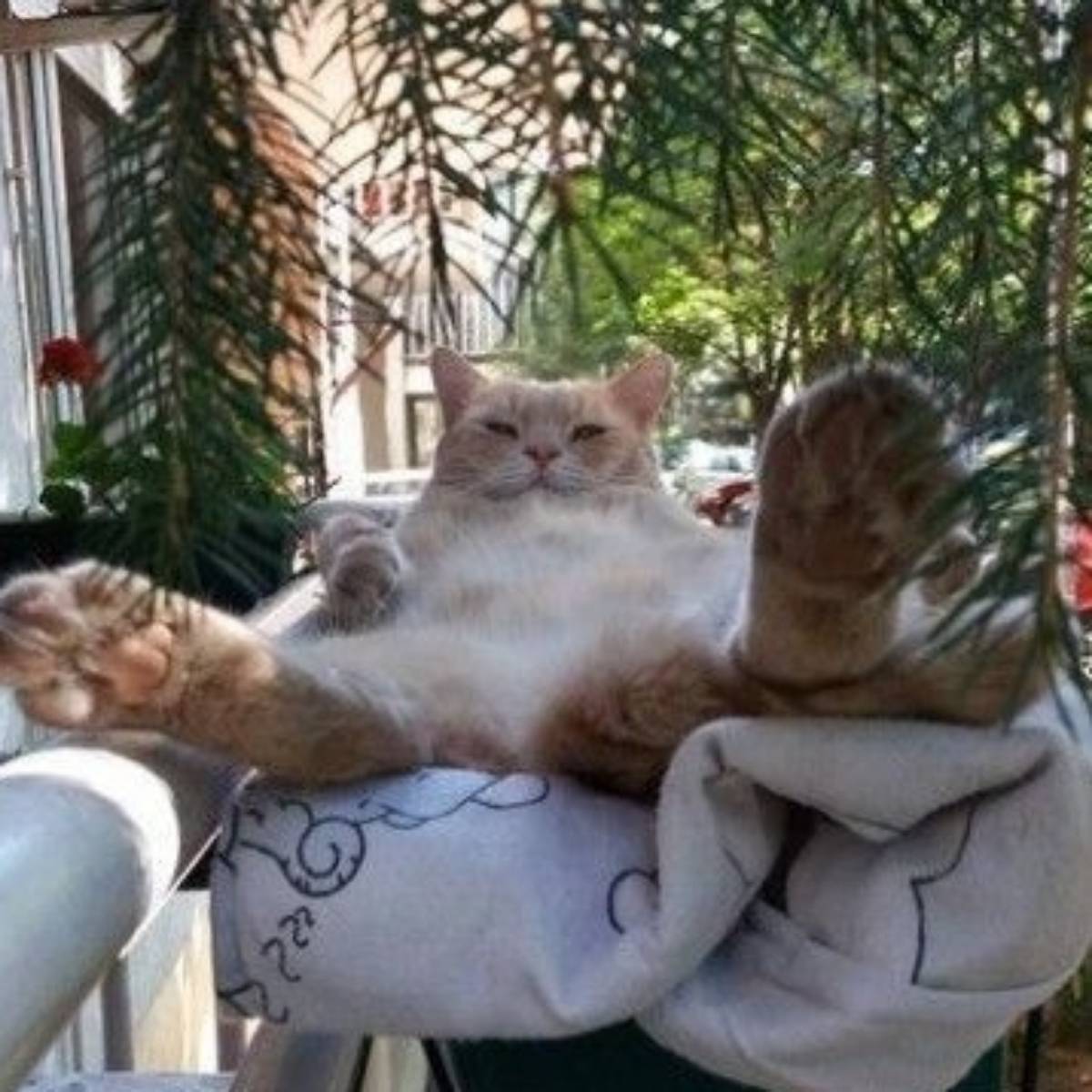 Аюр Цыренов