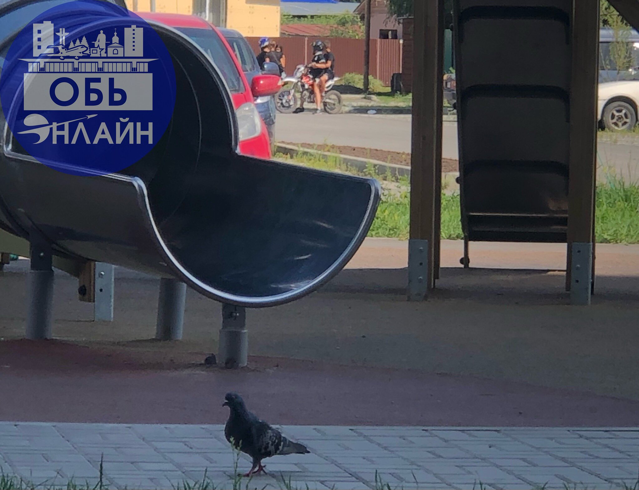 ↗ Когда даже голубь выглядит представительнее и умнее существ, которые днем перд9ят у детской площадки и носятся по внутридомовых дорогам. А при замечании - уезжают сразу | Сетка — социальная сеть от hh.ru
