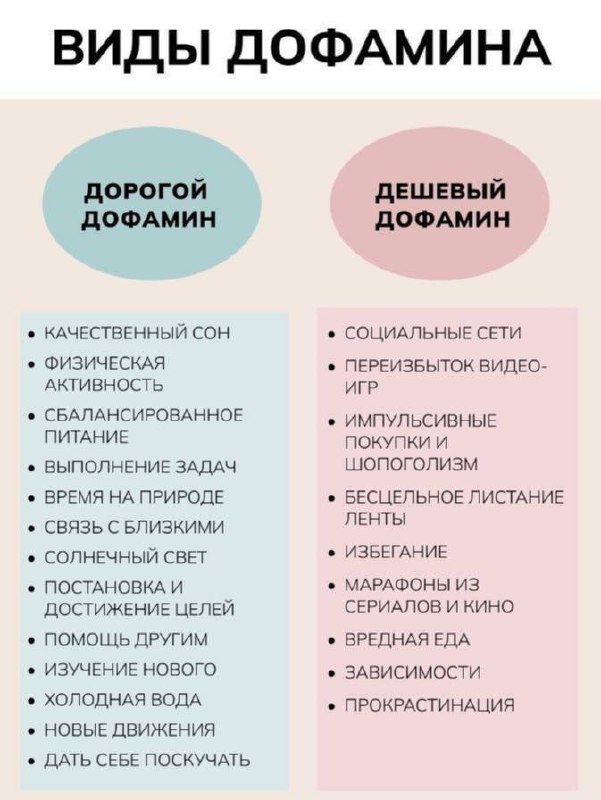 #задание выходного дня:
хапнуть дорогого дофамина | Сетка — социальная сеть от hh.ru