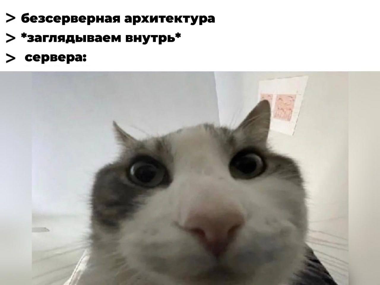 #IT
😂 Твой Пакет Мемов
🛍 Другие каналы
В этом посте были ссылки, но мы их удалили по правилам Сетки | Сетка — социальная сеть от hh.ru