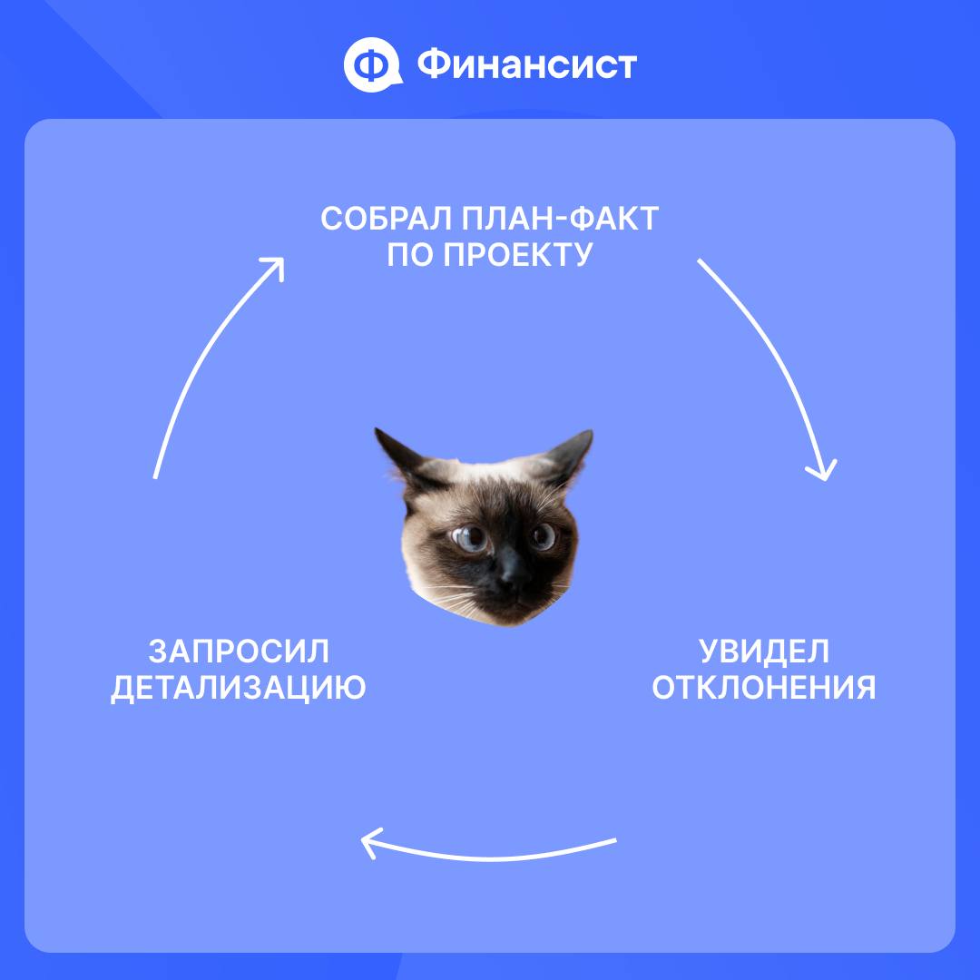 В жизни финансиста всё циклично | Сетка — социальная сеть от hh.ru