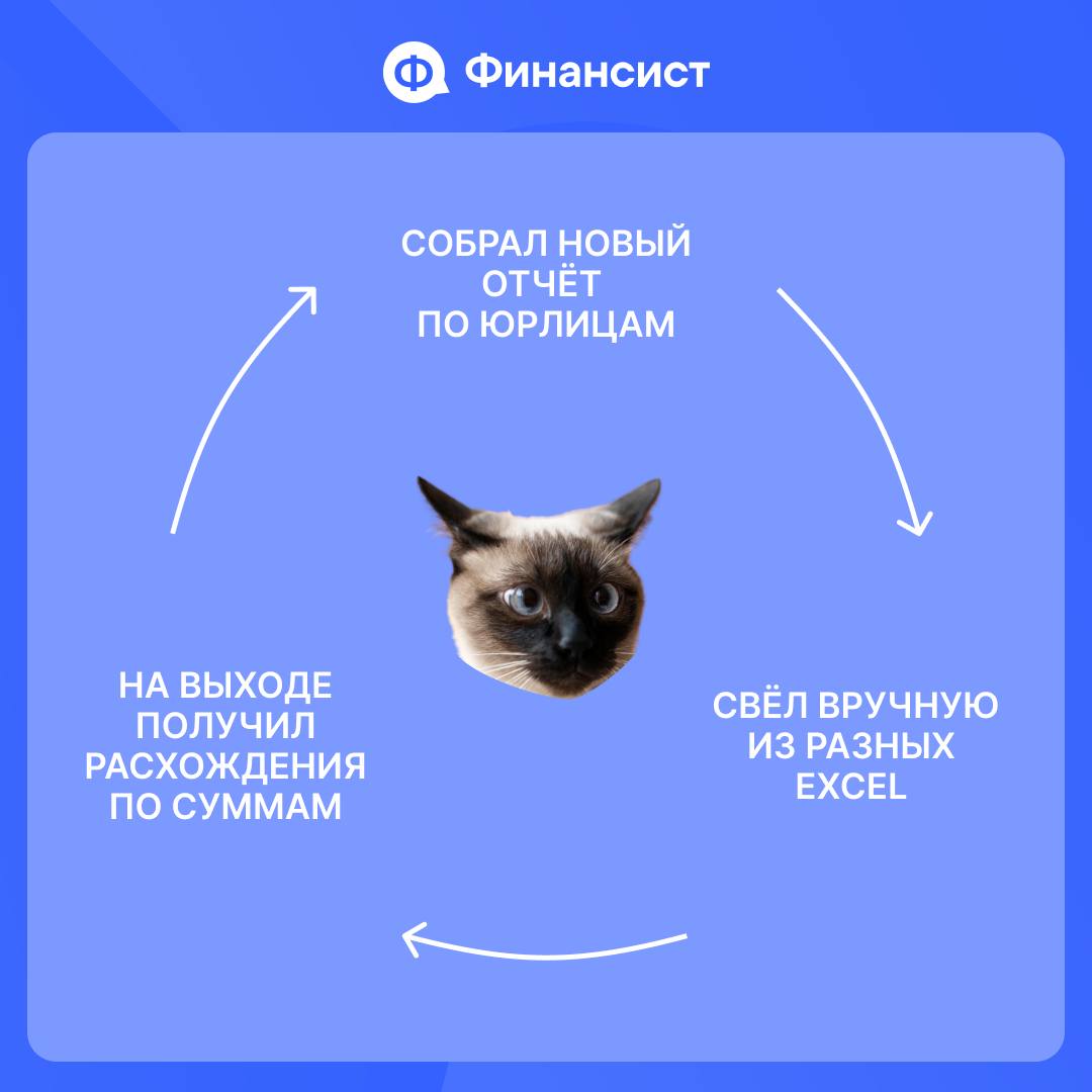 В жизни финансиста всё циклично | Сетка — социальная сеть от hh.ru