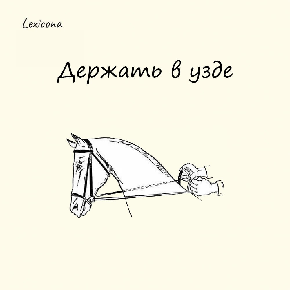 Держать в узде
Узда – поводья и ремни, с помощью которых управляют лошадью. Если лошадь «в узде», значит, она под контролем | Сетка — социальная сеть от hh.ru