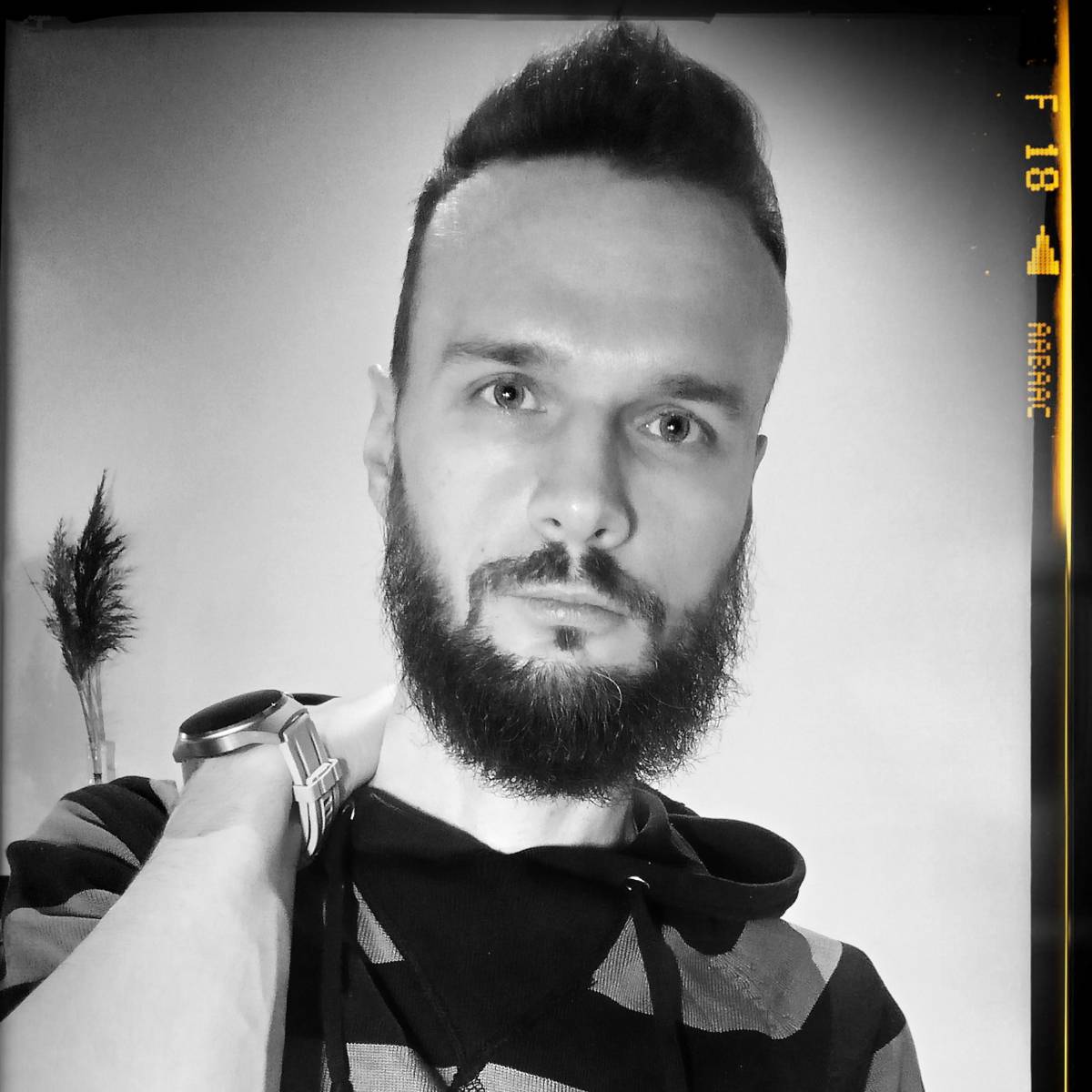 Network member avatar