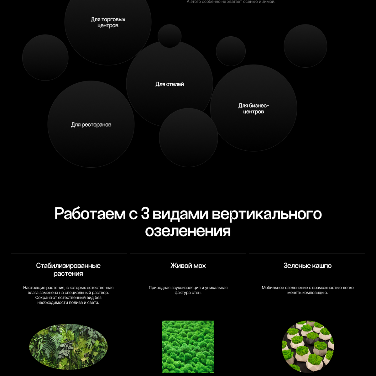 СДЕЛАЛ ЛЕНДИНГ НА ТИЛЬДЕ ЗА 9 ЧАСОВ А ЕГО ДАЖЕ НЕ ПРИНЯЛИ… | Сетка — социальная сеть от hh.ru