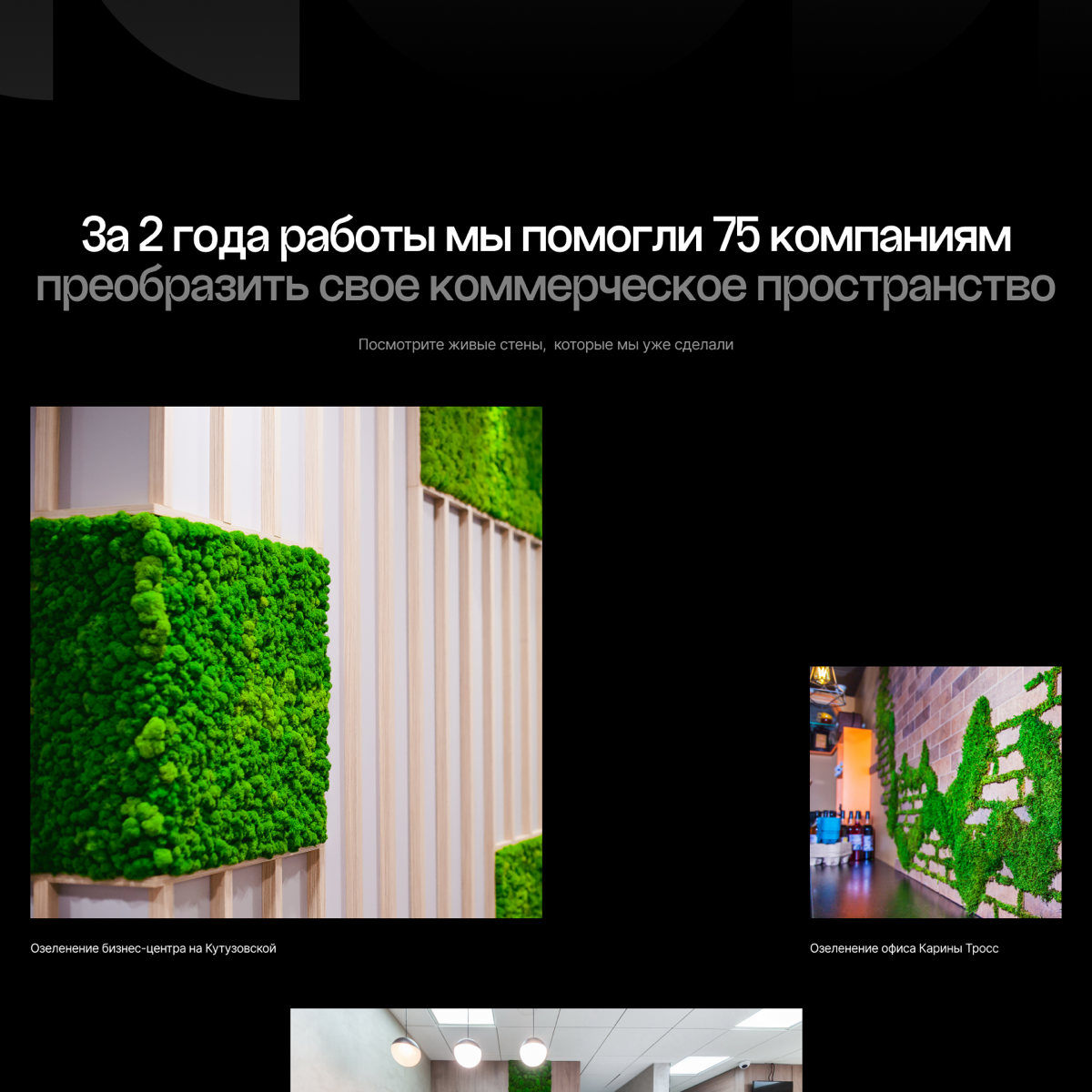 СДЕЛАЛ ЛЕНДИНГ НА ТИЛЬДЕ ЗА 9 ЧАСОВ А ЕГО ДАЖЕ НЕ ПРИНЯЛИ… | Сетка — социальная сеть от hh.ru