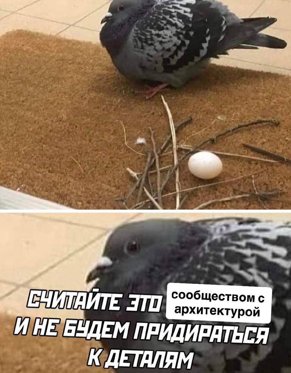 Архитектура: почему сообщество валится без неё 👇🏻
Сообщество крепкое и растущее, только когда у него здоровый и правильный «скелет» — мем к посту в тему))
📎 Мы это разбирали недавно на Интенсиве — сег... | Сетка — социальная сеть от hh.ru