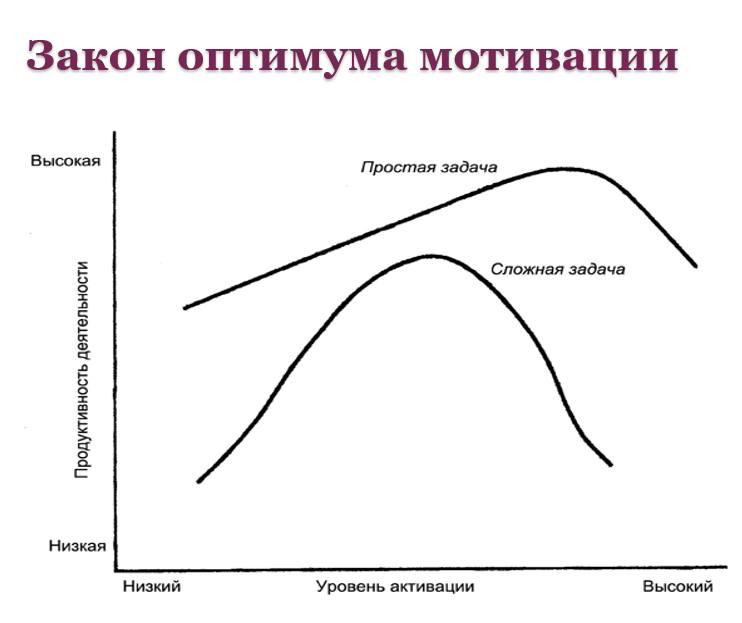 Закон оптимума мотивации | Сетка — социальная сеть от hh.ru