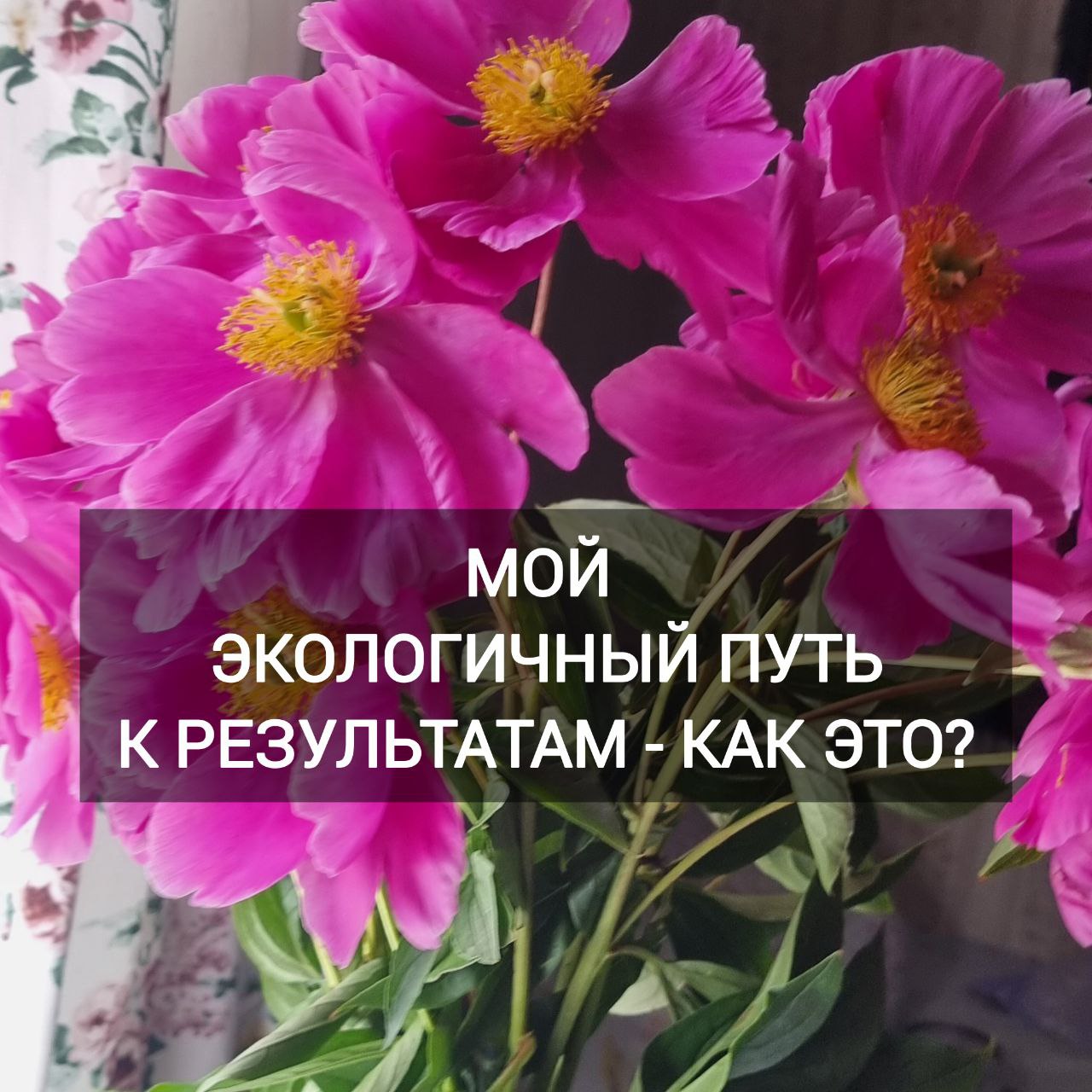 🤩🤩🤩🤩🤩🤩🤩🤩
Тема этой недели:
Мой экологичный путь к результатам
(Скажу по-секрету- навеяла тему от борьбы с борщевиком)
Знакомо ли тебе чувство, когда ты хочешь получить важный и значимый результат,
но ... | Сетка — социальная сеть от hh.ru