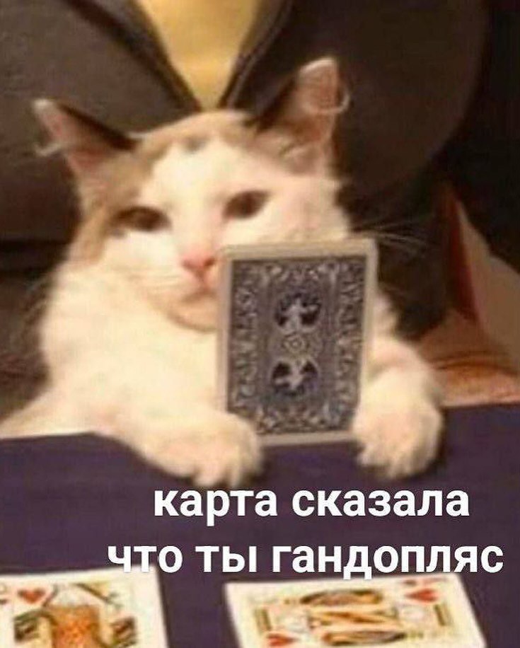 Московский ювелирный бренд Hypsoline выкатил мемную подвеску «Таро-гандопляс».
мощная защита от правок, душноты и непрошенных вопросов 🙉 | Сетка — социальная сеть от hh.ru