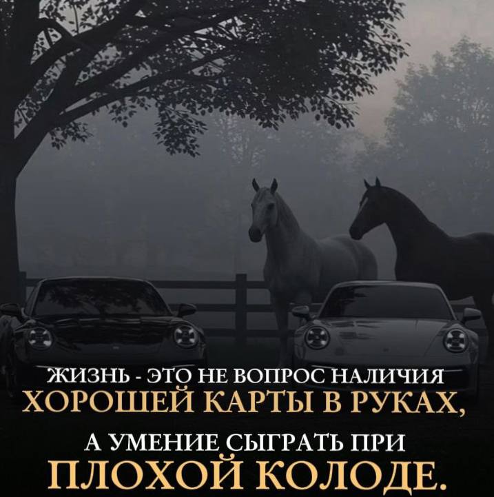 📌 Подумай об этом на досуге!
Обижаться на жизнь и искать оправдания — дело слабого человека
Искать возможности и пути решения проблемы — признаки стоицизма и воли к жизни
🎙️ Джефф Безос бросил всё и н... | Сетка — социальная сеть от hh.ru