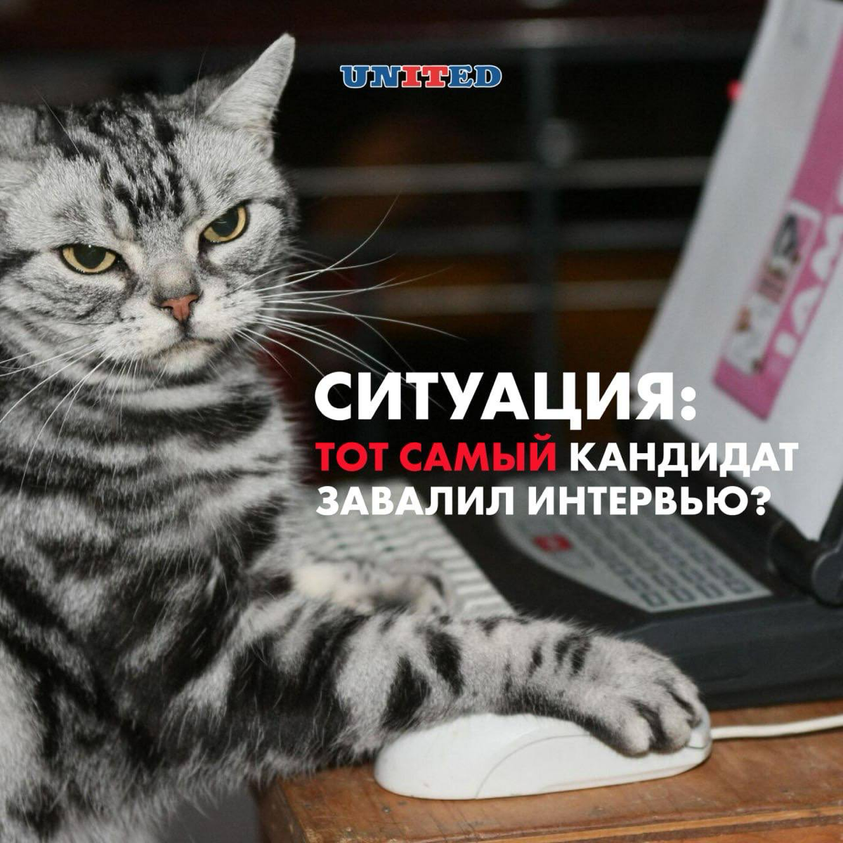 Один из самых сложных моментов в найме… | Сетка — социальная сеть от hh.ru