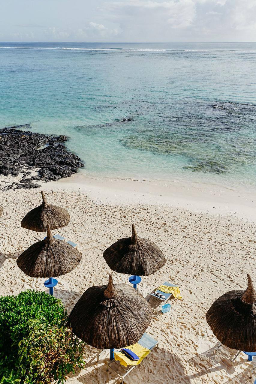 📍 SALT of Palmar
За окном жара и хочется ярких и сочных локаций! Бутик-отель на Маврикии — интересный пример превращения традиционной риад архитектуры в яркое пространство с буйством цветов и графичес... | Сетка — социальная сеть от hh.ru