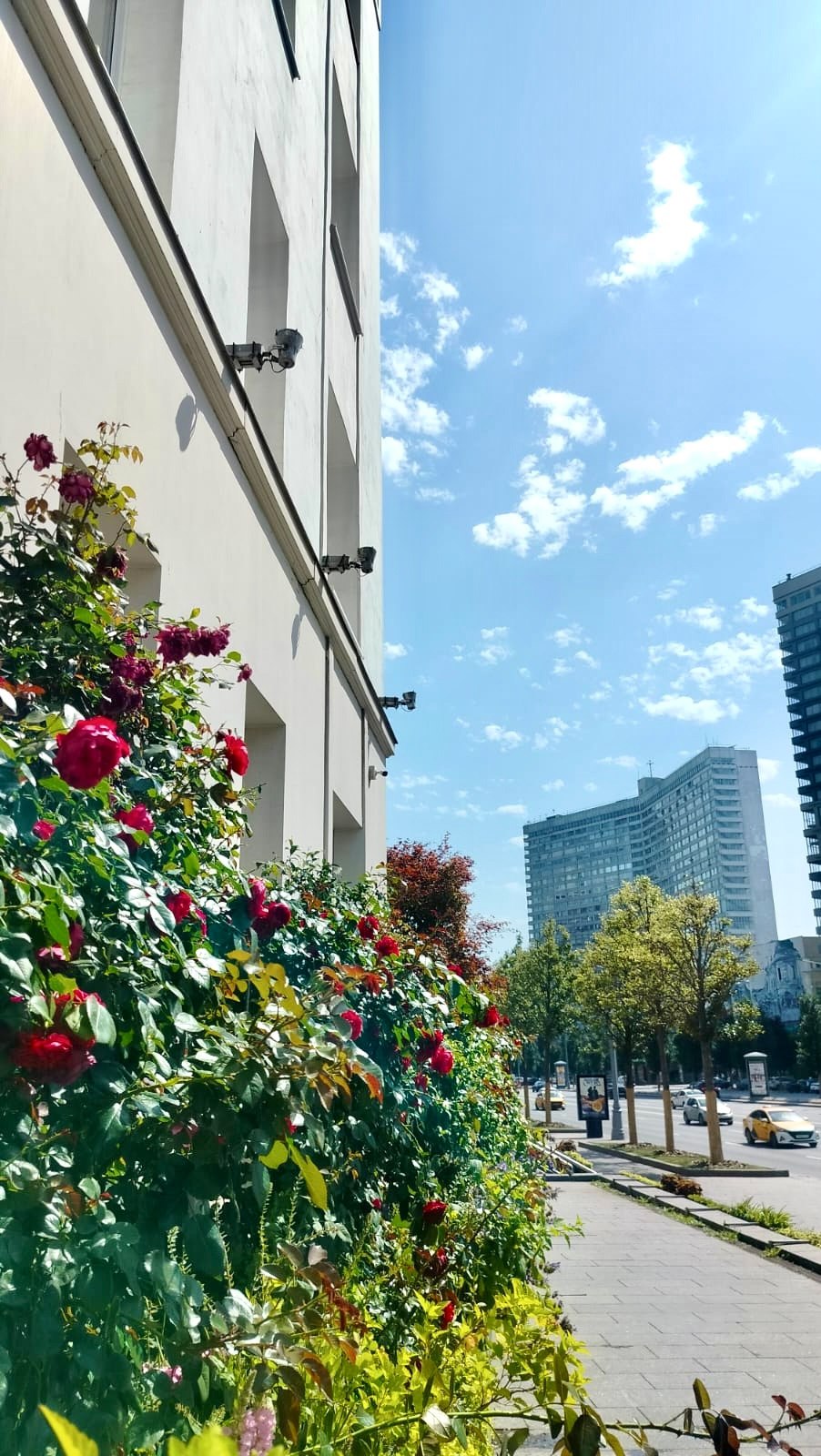 📸
💦Немного прохлады в жаркий день
от нашего автора - Елены Васиной, техника по обходу сетей Района канализационной сети №2
История создания рубрики | Сетка — социальная сеть от hh.ru