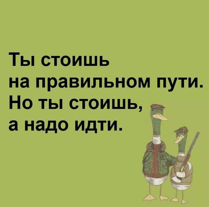 Лучшие запасы Летнего Сезона
Лето - время легкости и уюта!
Хочется наслаждаться каждым моментом, забыв о заботах | Сетка — социальная сеть от hh.ru