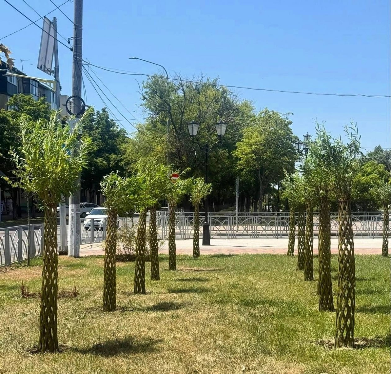 🌴 Есть бананы под пальмами можно не только в Африке, но и в Невинномысске
На днях в промышленном городе высадили 98 «русских пальм» | Сетка — социальная сеть от hh.ru