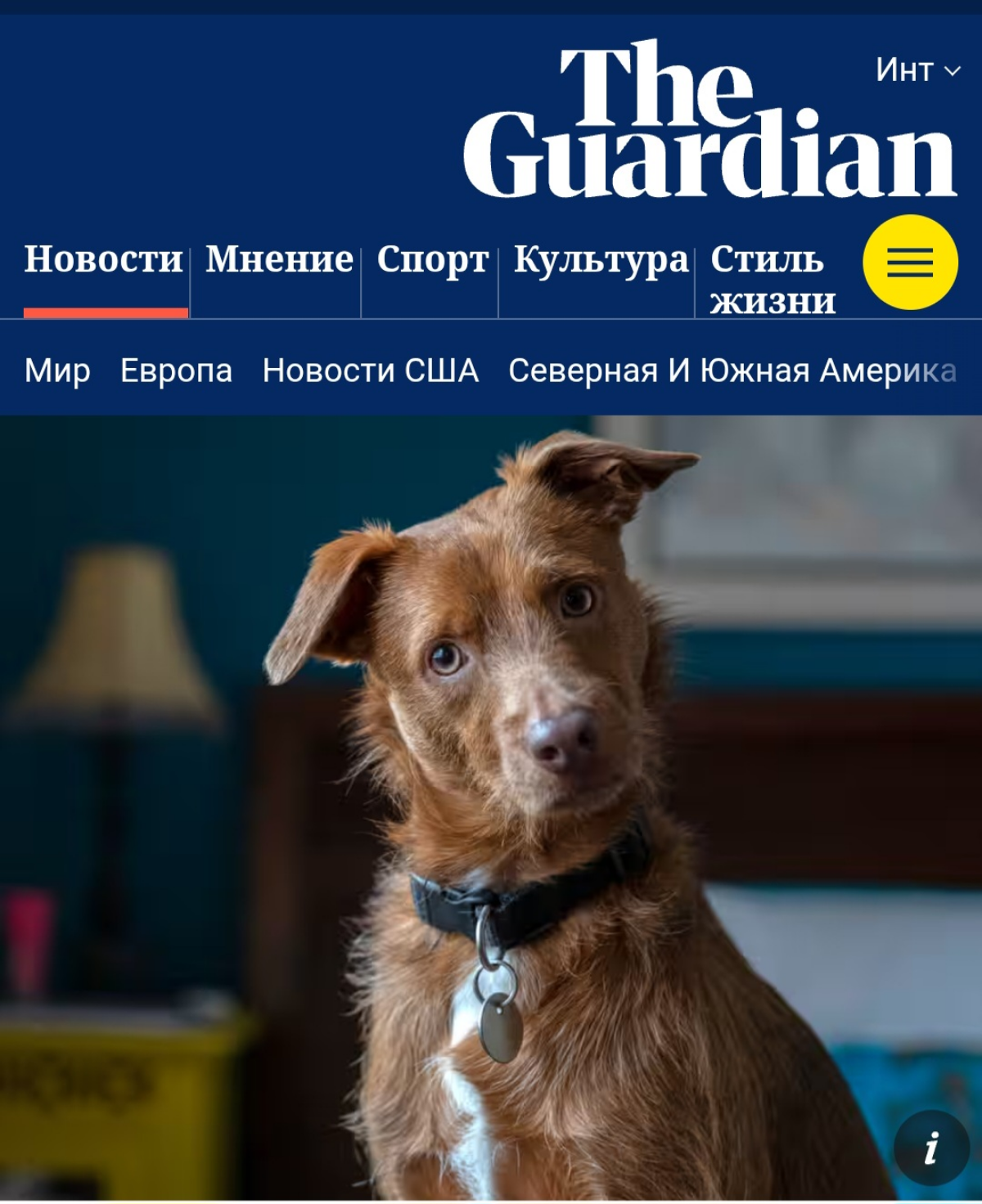 ОТКРОЮТ ЦЕНТР ИЗУЧЕНИЯ СОЗНАНИЯ ЖИВОТНЫХ С ПОМОЩЬЮ ИИ | Сетка — социальная сеть от hh.ru