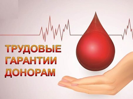 Напоминаем о трудовых гарантиях для работников, сдающих кровь | Сетка — социальная сеть от hh.ru