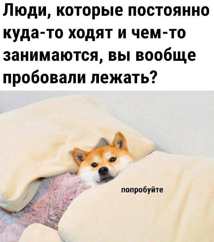Люди которые постоянно что-то делают вообще пробовали лежать | Сетка — социальная сеть от hh.ru