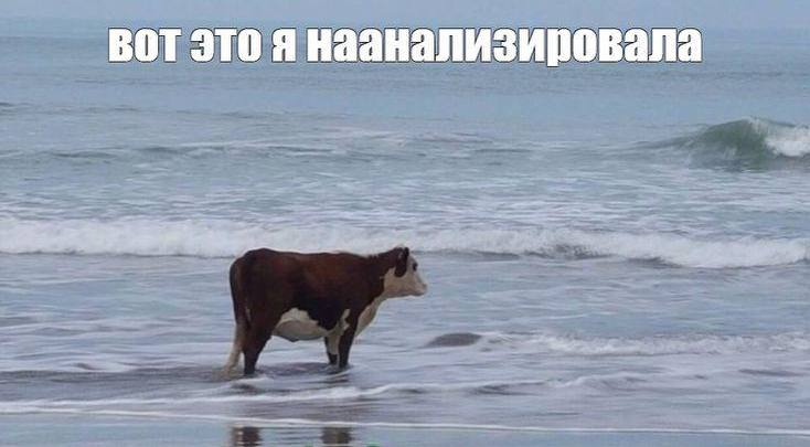 Что же делать. Контента больше, просмотров меньше
Охваты падают. Это подтверждают все исследования. Контент все меньше видят уже подписанные. Внешних показов еще меньше | Сетка — социальная сеть от hh.ru