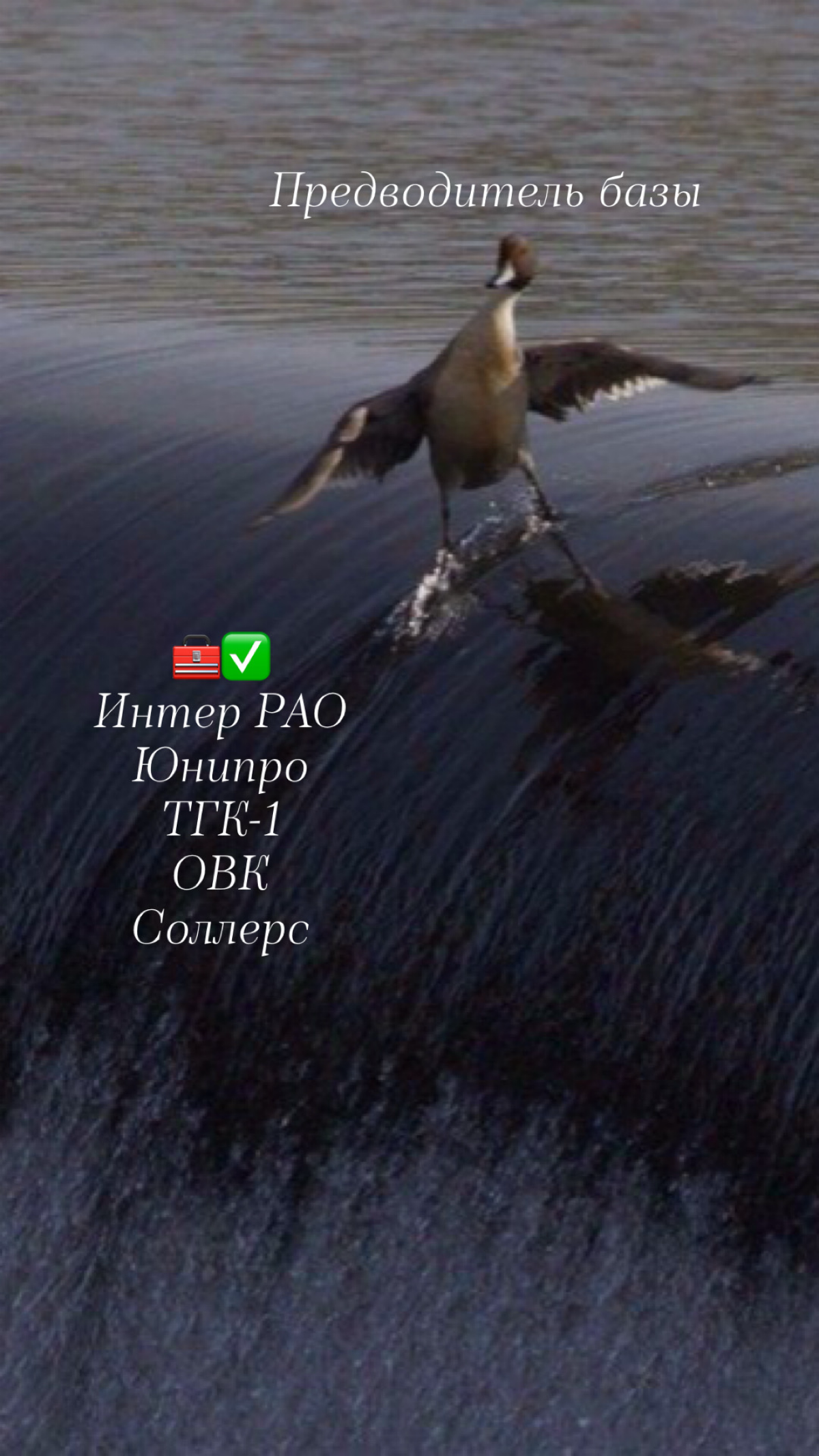 тем временем RU-сектор 👉 https://t.me/shumovupgrade/s/464 | Сетка — социальная сеть от hh.ru