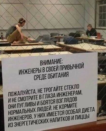 Ну что друзья, давайте все сегодня отдохнём. Без нас ничего не рухнет | Сетка — социальная сеть от hh.ru