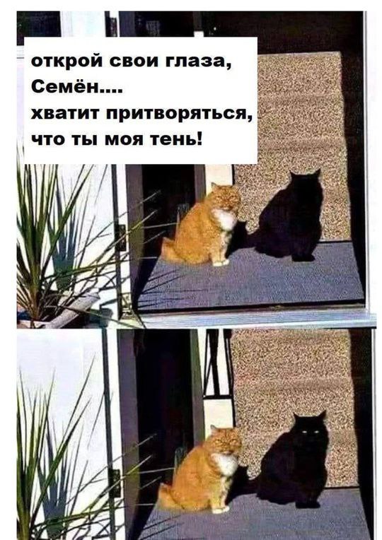 Ну что друзья, давайте все сегодня отдохнём. Без нас ничего не рухнет | Сетка — социальная сеть от hh.ru