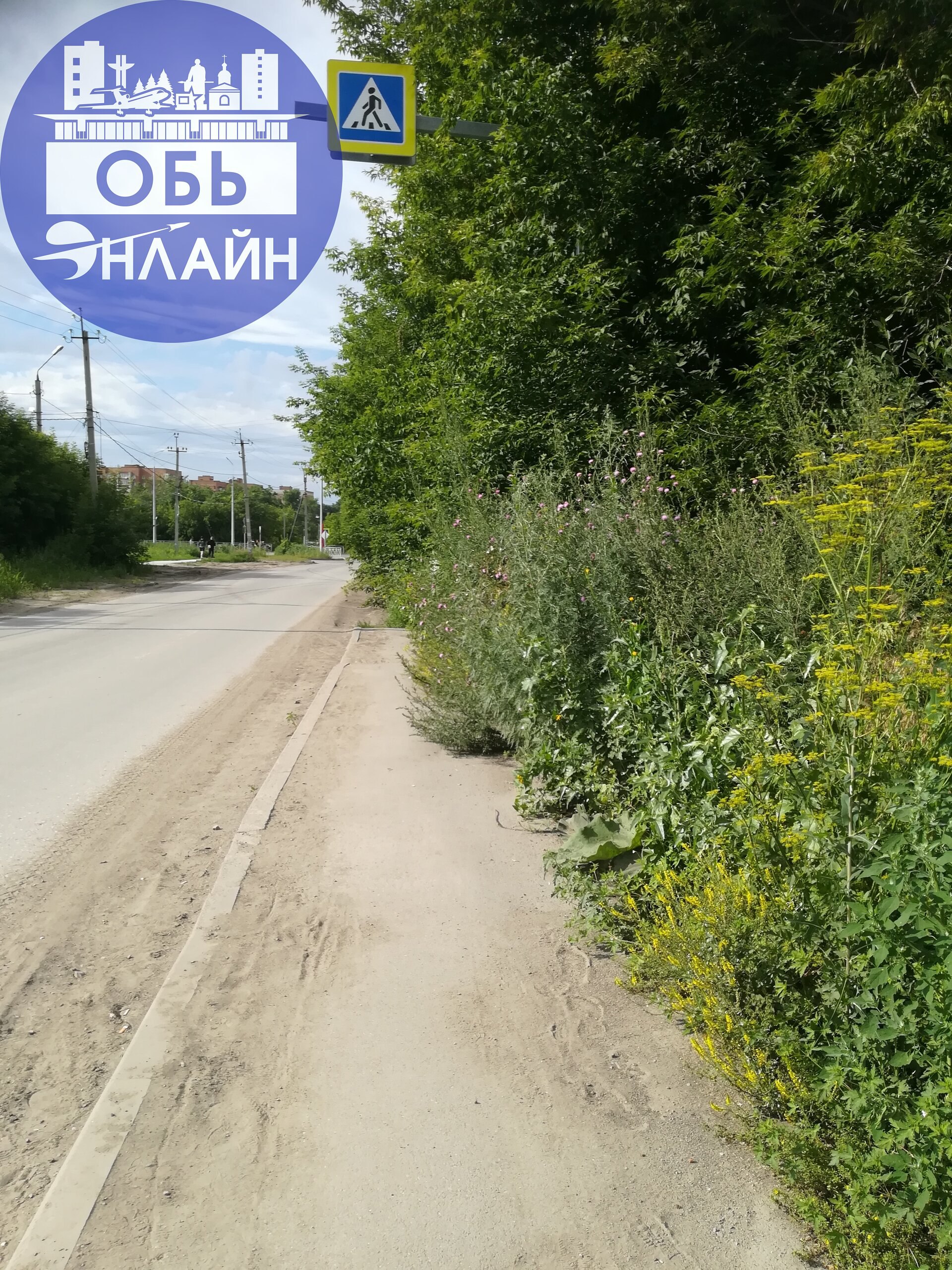 ↗ Администрация города Оби приведите тротуары на Октябрьской и Шевченко в нормальное состояние. Ходить невозможно, трава местами выше человеческого роста.
vk.com
Подробнее на https://vk.com/ob | Сетка — социальная сеть от hh.ru