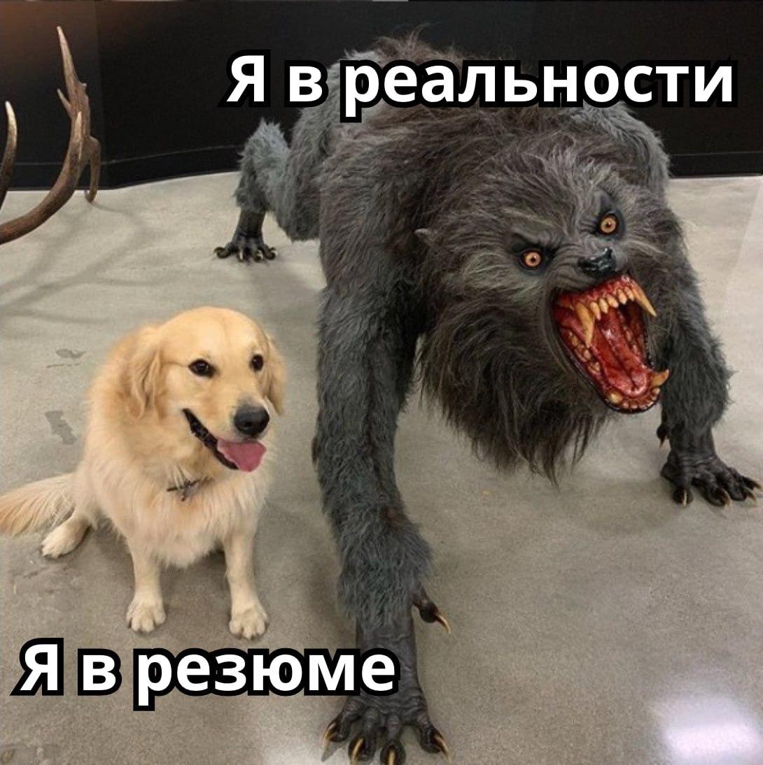 📝 КАК НОВИЧКУ ДОБИТЬСЯ ПРИГЛАШЕНИЯ НА СОБЕСЕДОВАНИЕ, ЕСЛИ НЕТ КОММЕРЧЕСКОГО ОПЫТА?
Это один из самых частых вопросов у джунов. Кажется, что все хотят "с опытом", а у тебя — только курсы и пет-проекты | Сетка — социальная сеть от hh.ru