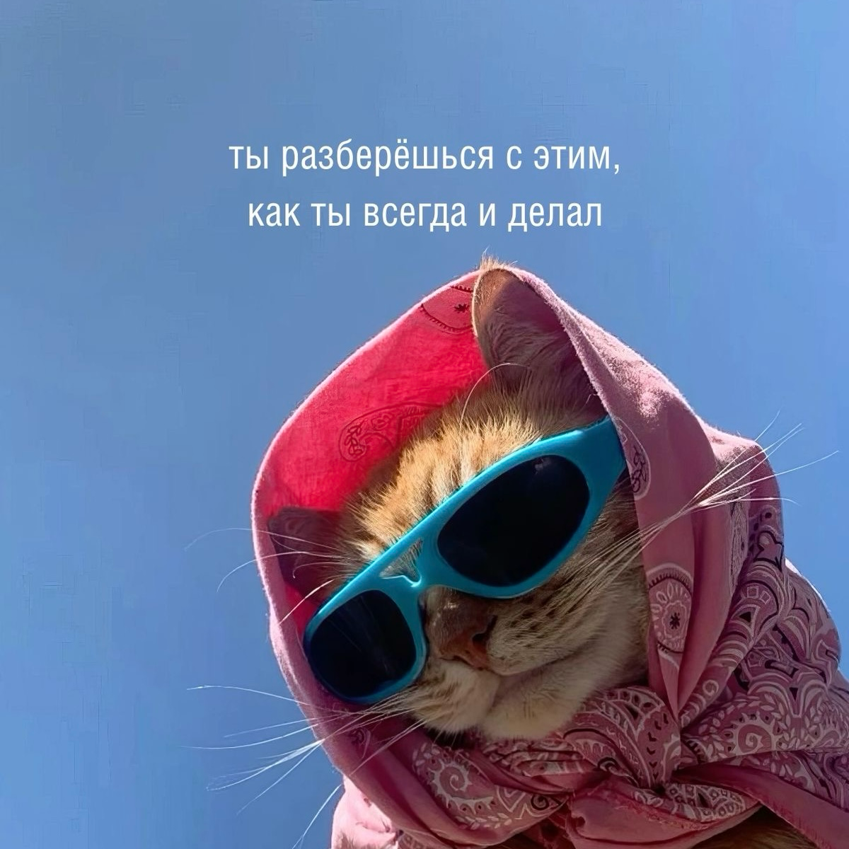 HR: Спасатель? Или корпоративная помойка для чужих драм? | Сетка — социальная сеть от hh.ru