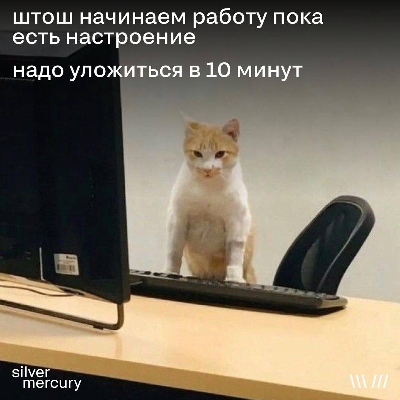 Доброе утро, коллеги
Сегодня отмечается день русской лени — вы знаете, что делать (или не делать) | Сетка — социальная сеть от hh.ru