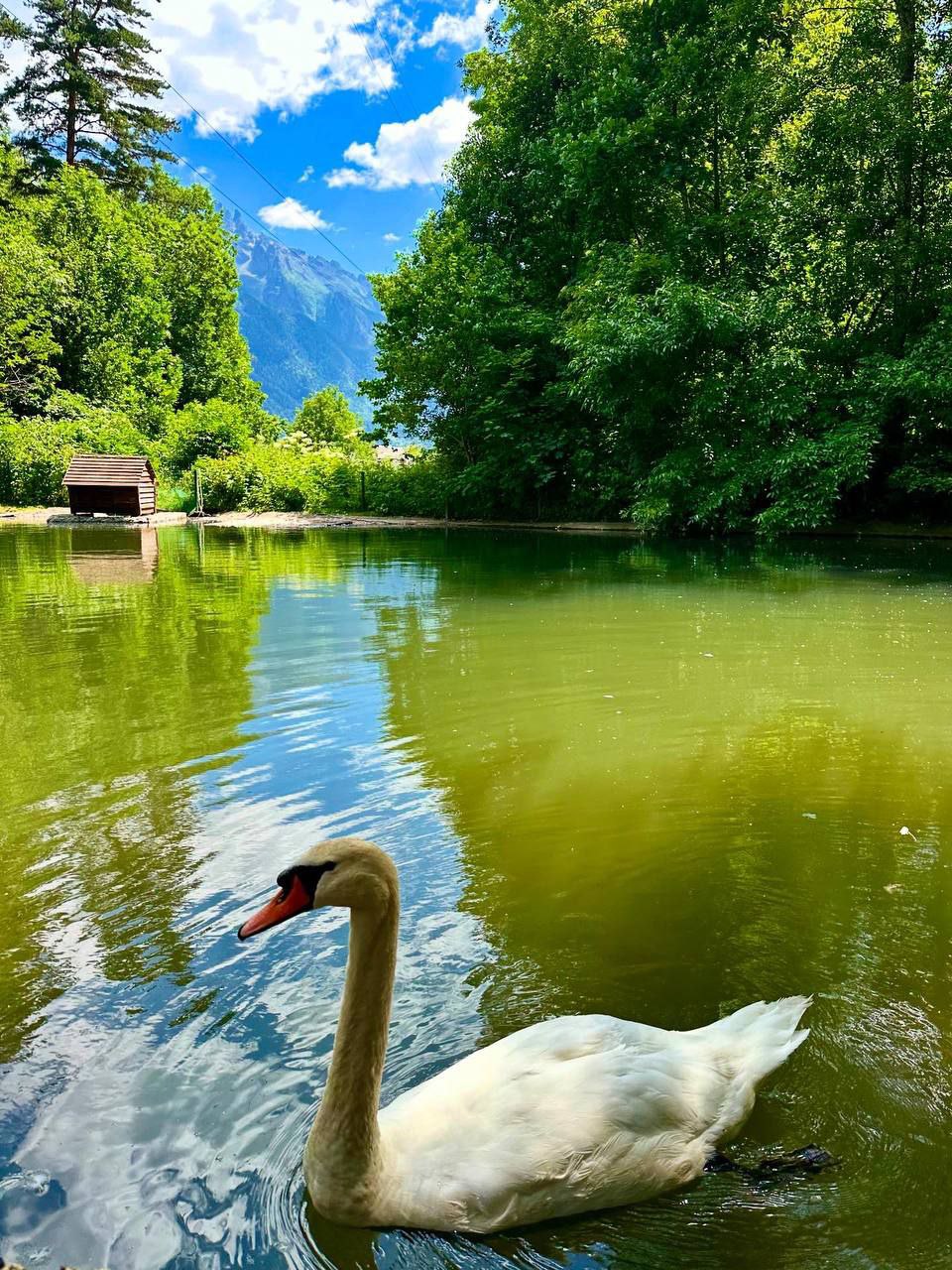 Тебердинский заповедник 🏞️
@Natalyaphoto26stav | Сетка — социальная сеть от hh.ru